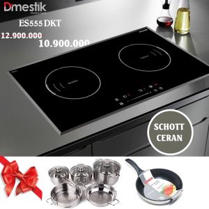 Bếp Từ D'Mestik ES 555 DKT