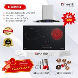 BẾP ĐIỆN TỪ D\'MESTIK ML931DKT