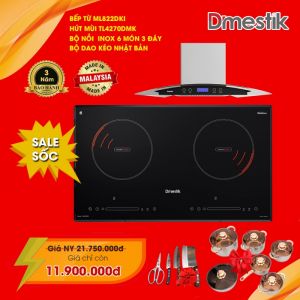 Combo Bếp từ D\'mestik ML 822 DKI