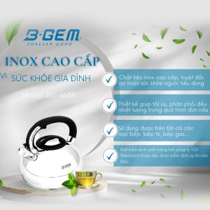 Ấm nấu từ Bgem BG-666A